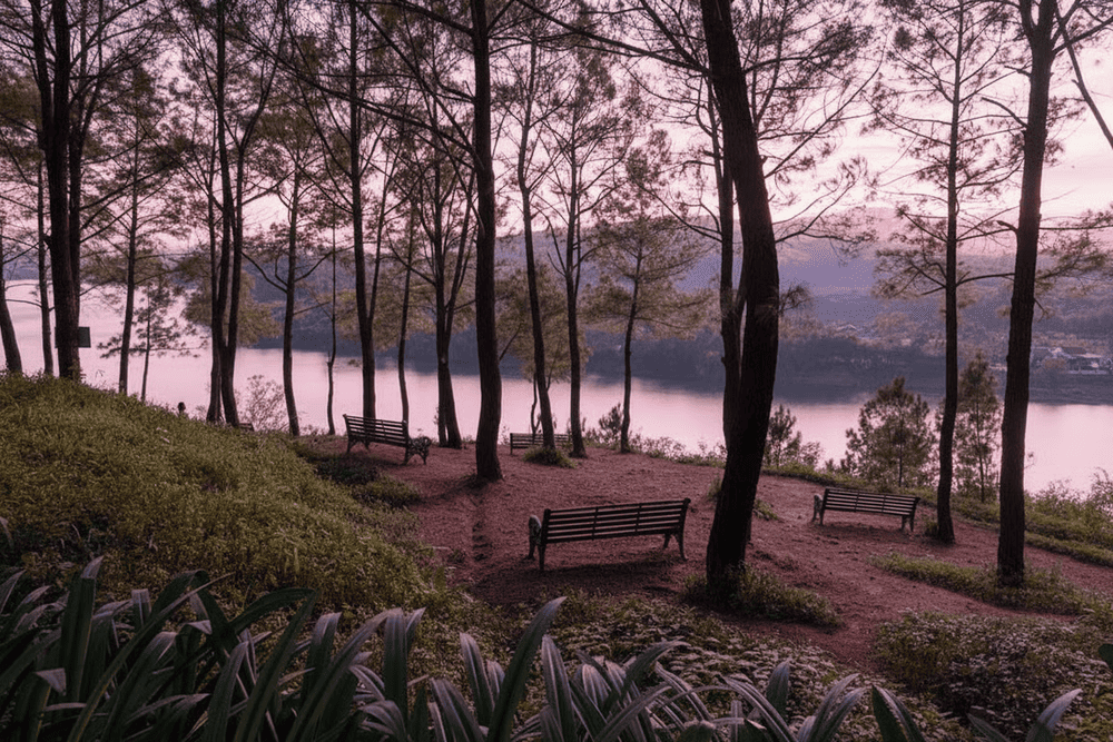 Ghế nghỉ bố trí quanh các con đường trên đồi